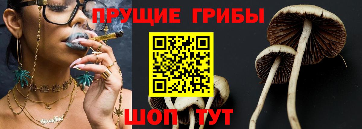 Советский  Псилоцибиновые грибы прущие грибы  Галлюциногенные грибы Psilocybine cubensis  Вход с VPN 
